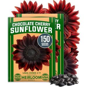 imageHOME GROWN Morning Glory SeedsHeavenly Blue 2 Pack 300  Heirloom Morning Glories Vine Seeds for Planting Ideal for a Flower Garden That Attracts Pollinators and BirdsIpomoea tricolorChocolate Cherry Sunflower 2Pack