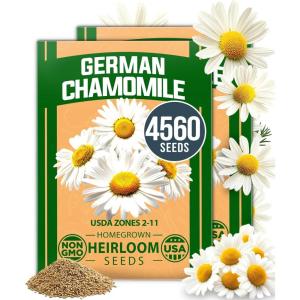 imageHOME GROWN Morning Glory SeedsHeavenly Blue 2 Pack 300  Heirloom Morning Glories Vine Seeds for Planting Ideal for a Flower Garden That Attracts Pollinators and BirdsIpomoea tricolorGerman Chamomile 2Pack