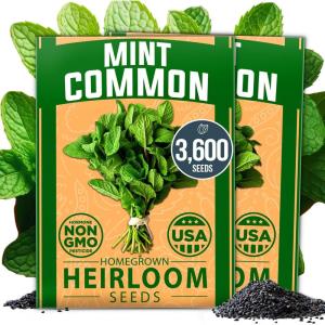 imageHOME GROWN Premium Common Mint Seeds Bulk Pack 3600   Heirloom Herb Seeds USA Sourced  Ideal for Planting Outdoors or Indoors for a Fresh Mint Tea Garden Mentha sppMint 2Pack