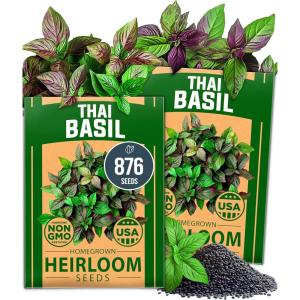 imageHOME GROWN Premium Common Mint Seeds Bulk Pack 3600   Heirloom Herb Seeds USA Sourced  Ideal for Planting Outdoors or Indoors for a Fresh Mint Tea Garden Mentha sppThai Basil 2Pack