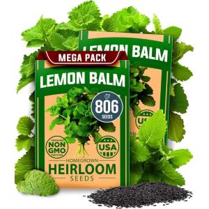 imageHOME GROWN Premium Common Mint Seeds Bulk Pack 3600   Heirloom Herb Seeds USA Sourced  Ideal for Planting Outdoors or Indoors for a Fresh Mint Tea Garden Mentha sppLemon Balm 2Pack