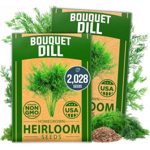imageHOME GROWN Premium Common Mint Seeds Bulk Pack 3600   Heirloom Herb Seeds USA Sourced  Ideal for Planting Outdoors or Indoors for a Fresh Mint Tea Garden Mentha sppDill 2Pack