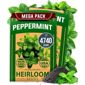 imageHOME GROWN Premium Common Mint Seeds Bulk Pack 3600   Heirloom Herb Seeds USA Sourced  Ideal for Planting Outdoors or Indoors for a Fresh Mint Tea Garden Mentha sppPeppermint 2Pack