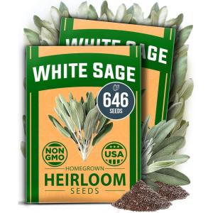 imageHOME GROWN Premium Common Mint Seeds Bulk Pack 3600   Heirloom Herb Seeds USA Sourced  Ideal for Planting Outdoors or Indoors for a Fresh Mint Tea Garden Mentha sppWhite Sage 2Pack