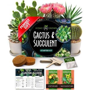 imageHOME GROWN Succulent ampamp Cactus Seed Kit for Planting  Enthusiasts Favorites Premium Cactus ampamp Succulent Starter Kit 4 Planters Drip Trays Markers Seeds Mix Soil  DIY Gift KitsCactus Garden Kit