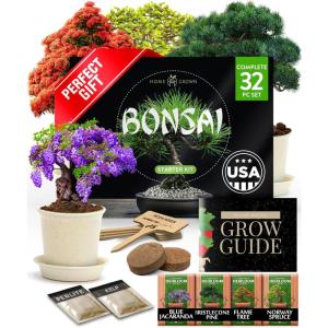 imageHOME GROWN Succulent ampamp Cactus Seed Kit for Planting  Enthusiasts Favorites Premium Cactus ampamp Succulent Starter Kit 4 Planters Drip Trays Markers Seeds Mix Soil  DIY Gift KitsBonsai Garden Kit
