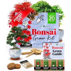 imageHome Grown Bonsai Tree Kit  Premium Ceramic Starter Set with 4 Bonsai Varieties  Easy Indoor Gardening Gift for Men ampamp Women  Unique Plant Kit for Beginners ampamp Nature Lovers