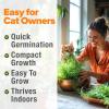 imageHOME GROWN   1 Pound Cat Grass Seeds for Cat ampamp Kittens Oat ampamp Barley Mix 100  Heirloom Grow Fresh Kitty Grass for Chewing Pet Grass for Cats Indoor Garden16 oz
