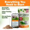 imageHOME GROWN   1 Pound Cat Grass Seeds for Cat ampamp Kittens Oat ampamp Barley Mix 100  Heirloom Grow Fresh Kitty Grass for Chewing Pet Grass for Cats Indoor Garden6 oz