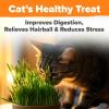 imageHOME GROWN   1 Pound Cat Grass Seeds for Cat ampamp Kittens Oat ampamp Barley Mix 100  Heirloom Grow Fresh Kitty Grass for Chewing Pet Grass for Cats Indoor Garden4 oz
