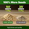 imageHOME GROWN   Persian Cucumber Seeds  50 Heirloom NonGMO HighYielding Beit Alpha Variety  Fast Growing Sweet Tender Skin Home Vegetable Garden Seeds Cucumis sativus