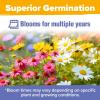 imageHOME GROWN   Wildflower Seeds Mix  49100 2oz Bulk Mix 21 Varieties Wild Flower  Bee and Butterfly Garden Pack  Native Annual Flowers for Planting for Your Garden19 Varieties Perennial 2 oz