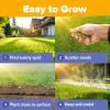 imageHOME GROWN   Wildflower Seeds Mix  49100 2oz Bulk Mix 21 Varieties Wild Flower  Bee and Butterfly Garden Pack  Native Annual Flowers for Planting for Your Garden19 Varieties Perennial 3 oz