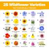 imageHOME GROWN   Wildflower Seeds Mix  49100 2oz Bulk Mix 21 Varieties Wild Flower  Bee and Butterfly Garden Pack  Native Annual Flowers for Planting for Your Garden19 Varieties Perennial 2 oz