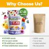 imageHOME GROWN   Wildflower Seeds Mix  49100 2oz Bulk Mix 21 Varieties Wild Flower  Bee and Butterfly Garden Pack  Native Annual Flowers for Planting for Your Garden19 Varieties Perennial 3 oz