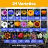 imageHOME GROWN   Wildflower Seeds Mix  49100 2oz Bulk Mix 21 Varieties Wild Flower  Bee and Butterfly Garden Pack  Native Annual Flowers for Planting for Your Garden21 Varieties Annual 2 oz