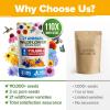 imageHOME GROWN   Wildflower Seeds Mix  49100 2oz Bulk Mix 21 Varieties Wild Flower  Bee and Butterfly Garden Pack  Native Annual Flowers for Planting for Your Garden21 Varieties Annual 3 oz