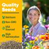 imageHOME GROWN   Wildflower Seeds Mix  49100 2oz Bulk Mix 21 Varieties Wild Flower  Bee and Butterfly Garden Pack  Native Annual Flowers for Planting for Your Garden21 Varieties Annual 2 oz