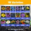 imageHOME GROWN   Wildflower Seeds Mix  49100 2oz Bulk Mix 21 Varieties Wild Flower  Bee and Butterfly Garden Pack  Native Annual Flowers for Planting for Your Garden19 Varieties Perennial 4 oz