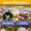 imageHOME GROWN   Wildflower Seeds Mix  49100 2oz Bulk Mix 21 Varieties Wild Flower  Bee and Butterfly Garden Pack  Native Annual Flowers for Planting for Your Garden19 Varieties Perennial 2 oz
