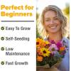 imageHOME GROWN   Wildflower Seeds Mix  49100 2oz Bulk Mix 21 Varieties Wild Flower  Bee and Butterfly Garden Pack  Native Annual Flowers for Planting for Your Garden21 Varieties Annual 2 oz