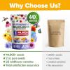 imageHOME GROWN   Wildflower Seeds Mix  49100 2oz Bulk Mix 21 Varieties Wild Flower  Bee and Butterfly Garden Pack  Native Annual Flowers for Planting for Your Garden19 Varieties Perennial 2 oz