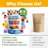 imageHOME GROWN   Wildflower Seeds Mix  49100 2oz Bulk Mix 21 Varieties Wild Flower  Bee and Butterfly Garden Pack  Native Annual Flowers for Planting for Your Garden21 Varieties Annual 2 oz