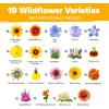 imageHOME GROWN   Wildflower Seeds Mix  49100 2oz Bulk Mix 21 Varieties Wild Flower  Bee and Butterfly Garden Pack  Native Annual Flowers for Planting for Your Garden19 Varieties Perennial 3 oz