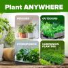 imageHOME GROWN  15 Herb Seeds Variety Pack 2500   HighGerminating Heirloom Seeds for Planting Indoor Outdoor Herb Garden Hydroponics Garden Seeds Basil Cilantro ampamp More