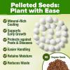 imageHOME GROWN  15 Herb Seeds Variety Pack 2500   HighGerminating Heirloom Seeds for Planting Indoor Outdoor Herb Garden Hydroponics Garden Seeds Basil Cilantro ampamp More