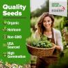 imageHOME GROWN  15 Herb Seeds Variety Pack 2500   HighGerminating Heirloom Seeds for Planting Indoor Outdoor Herb Garden Hydroponics Garden Seeds Basil Cilantro ampamp More