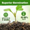 imageHOME GROWN  15 Herb Seeds Variety Pack 2500   HighGerminating Heirloom Seeds for Planting Indoor Outdoor Herb Garden Hydroponics Garden Seeds Basil Cilantro ampamp More