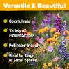 imageHOME GROWN 131200 Pure Wildflower Seeds   Premium Texas Flower Seeds 3 Oz Perennial Garden Seeds for Birds ampamp Butterflies  Wild Flowers Bulk Perennial 22 Varieties Flower Seed for Planting2 oz