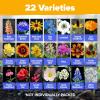 imageHOME GROWN 131200 Pure Wildflower Seeds   Premium Texas Flower Seeds 3 Oz Perennial Garden Seeds for Birds ampamp Butterflies  Wild Flowers Bulk Perennial 22 Varieties Flower Seed for Planting2 oz