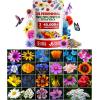imageHOME GROWN 131200 Pure Wildflower Seeds   Premium Texas Flower Seeds 3 Oz Perennial Garden Seeds for Birds ampamp Butterflies  Wild Flowers Bulk Perennial 22 Varieties Flower Seed for Planting2 oz