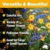 imageHOME GROWN 131200 Pure Wildflower Seeds   Premium Texas Flower Seeds 3 Oz Perennial Garden Seeds for Birds ampamp Butterflies  Wild Flowers Bulk Perennial 22 Varieties Flower Seed for Planting2 oz