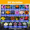 imageHOME GROWN 131200 Pure Wildflower Seeds   Premium Texas Flower Seeds 3 Oz Perennial Garden Seeds for Birds ampamp Butterflies  Wild Flowers Bulk Perennial 22 Varieties Flower Seed for Planting2 oz