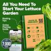 imageHOME GROWN San Marzano Tomato Seeds  132 Heirloom   Seeds  High Germination Tomatoes for Indoor ampamp Outdoor Growing  Classic Paste Variety for Gardeners ampamp Home UseRomaine Lettuce 2Pack