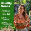 imageHOME GROWN San Marzano Tomato Seeds  132 Heirloom   Seeds  High Germination Tomatoes for Indoor ampamp Outdoor Growing  Classic Paste Variety for Gardeners ampamp Home UseCherry Tomato 2Pack