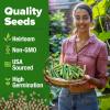 imageHOME GROWN San Marzano Tomato Seeds  132 Heirloom   Seeds  High Germination Tomatoes for Indoor ampamp Outdoor Growing  Classic Paste Variety for Gardeners ampamp Home UseOkra 2Pack