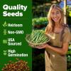 imageHOME GROWN San Marzano Tomato Seeds  132 Heirloom   Seeds  High Germination Tomatoes for Indoor ampamp Outdoor Growing  Classic Paste Variety for Gardeners ampamp Home UseContender 2Pack