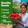 imageHOME GROWN San Marzano Tomato Seeds  132 Heirloom   Seeds  High Germination Tomatoes for Indoor ampamp Outdoor Growing  Classic Paste Variety for Gardeners ampamp Home UseBeefsteak Tomato 2Pack