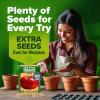 imageHOME GROWN San Marzano Tomato Seeds  132 Heirloom   Seeds  High Germination Tomatoes for Indoor ampamp Outdoor Growing  Classic Paste Variety for Gardeners ampamp Home UseBeefsteak Tomato 2Pack