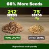 imageHOME GROWN San Marzano Tomato Seeds  132 Heirloom   Seeds  High Germination Tomatoes for Indoor ampamp Outdoor Growing  Classic Paste Variety for Gardeners ampamp Home UseCherokee Tomato 2Pack