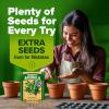 imageHOME GROWN San Marzano Tomato Seeds  132 Heirloom   Seeds  High Germination Tomatoes for Indoor ampamp Outdoor Growing  Classic Paste Variety for Gardeners ampamp Home UseArugula 2Pack
