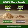 imageHOME GROWN San Marzano Tomato Seeds  132 Heirloom   Seeds  High Germination Tomatoes for Indoor ampamp Outdoor Growing  Classic Paste Variety for Gardeners ampamp Home UseBeefsteak Tomato 2Pack