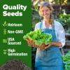 imageHOME GROWN San Marzano Tomato Seeds  132 Heirloom   Seeds  High Germination Tomatoes for Indoor ampamp Outdoor Growing  Classic Paste Variety for Gardeners ampamp Home UseButtercrunch Lettuce 2Pack