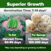imageHOME GROWN San Marzano Tomato Seeds  132 Heirloom   Seeds  High Germination Tomatoes for Indoor ampamp Outdoor Growing  Classic Paste Variety for Gardeners ampamp Home UseLuffa 2Pack