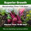 imageHOME GROWN San Marzano Tomato Seeds  132 Heirloom   Seeds  High Germination Tomatoes for Indoor ampamp Outdoor Growing  Classic Paste Variety for Gardeners ampamp Home UseRed Beet 2Pack