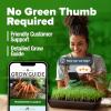 imageHOME GROWN San Marzano Tomato Seeds  132 Heirloom   Seeds  High Germination Tomatoes for Indoor ampamp Outdoor Growing  Classic Paste Variety for Gardeners ampamp Home UseCarrot 2Pack